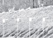 FBIdeer