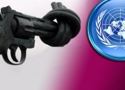 un gun control treaty