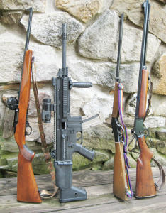 From left to right: Ruger 10/22 with Bushnell TRS 25 Red Dot sight; ISSC MK22 Scar 16 clone; Stevens Crackshot falling block, and Marlin 39A lever-action