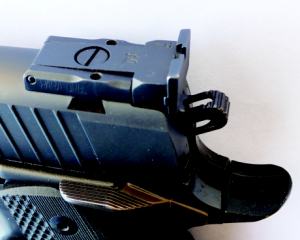 The rear sight is large and precise, with screws that are easy to adjust with a full sized driver.