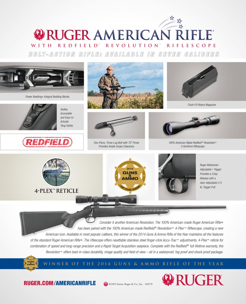 SAFE Act repeal part of NY capital drama TheGunMag The Official Gun