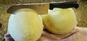 Spyderco’s Santoku getting ready to slice the author’s breakfast cantaloupe.