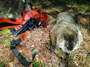 This woodchuck was taken by the author with one of his 5” S&W Model 29 revolvers. Holster is a Guide’s Choice model from Diamond-D Leather in Alaska.