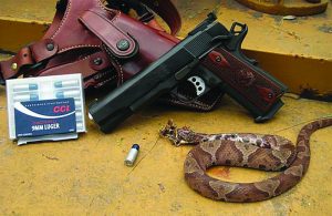 When shot from the author’s tractor, the 9mm CCI shotshell did a capital job on this Copperhead. Even with the 9mm Government Model’s light recoil spring, the CCI shot shells will not completely cycle the pistol. 