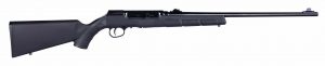 New Savage semi-auto rimfire rifle.