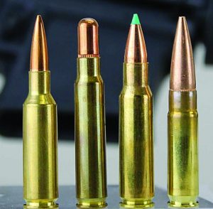Cartridges that are essentially homeless but for the AR-15 include: (L-R) 244 Valkyrie, 25 Sharps, 6.8 SPC and 300 Blackout.