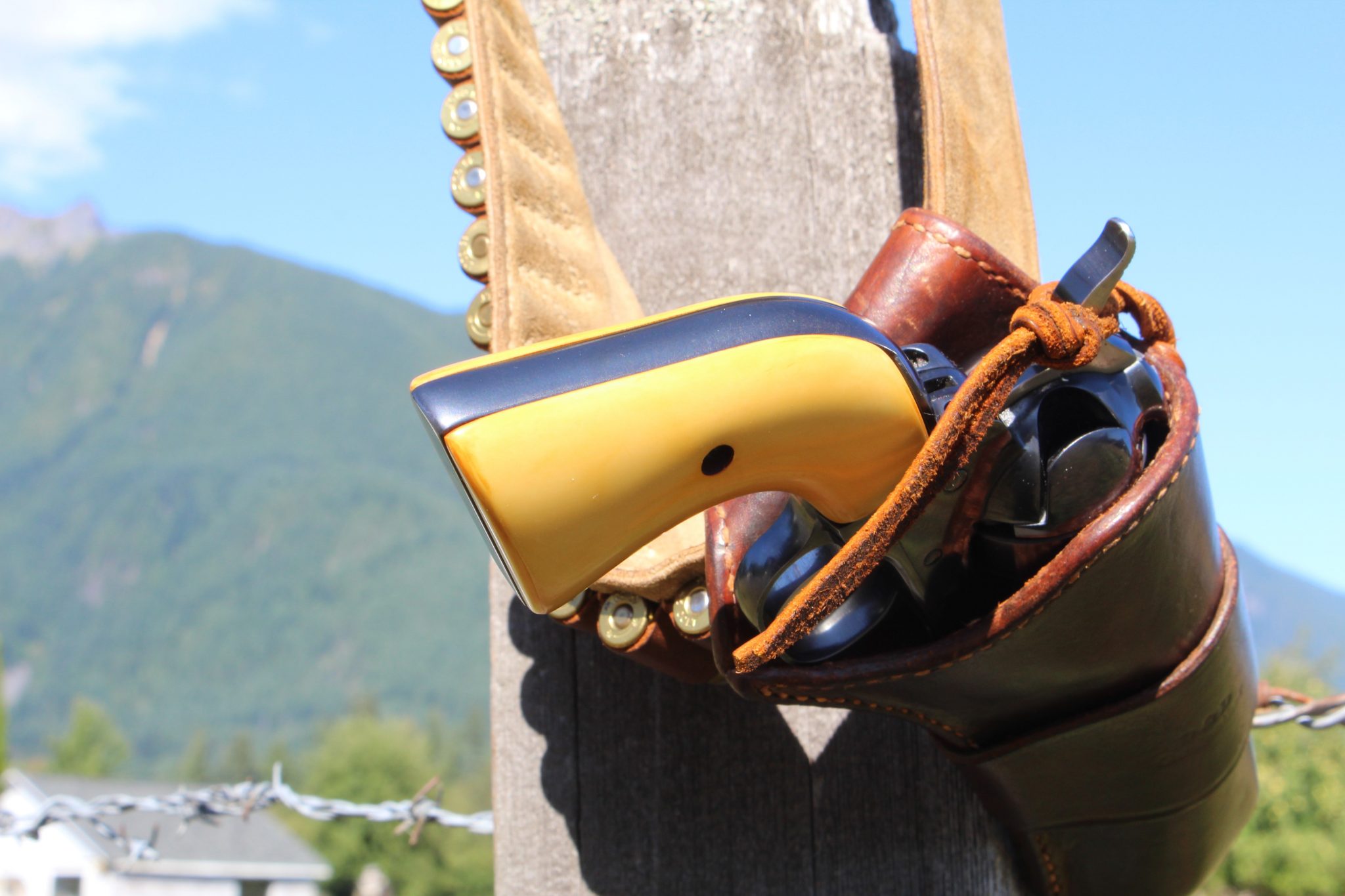 Look, Feel of Genuine Ivory Found in ‘MagnaTusk’ Grips from Arizona Custom TheGunMag The