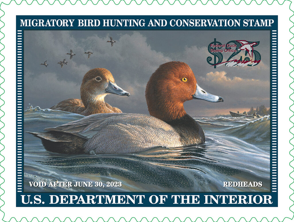 Federal duck stamps for 202223 season on sale TheGunMag The