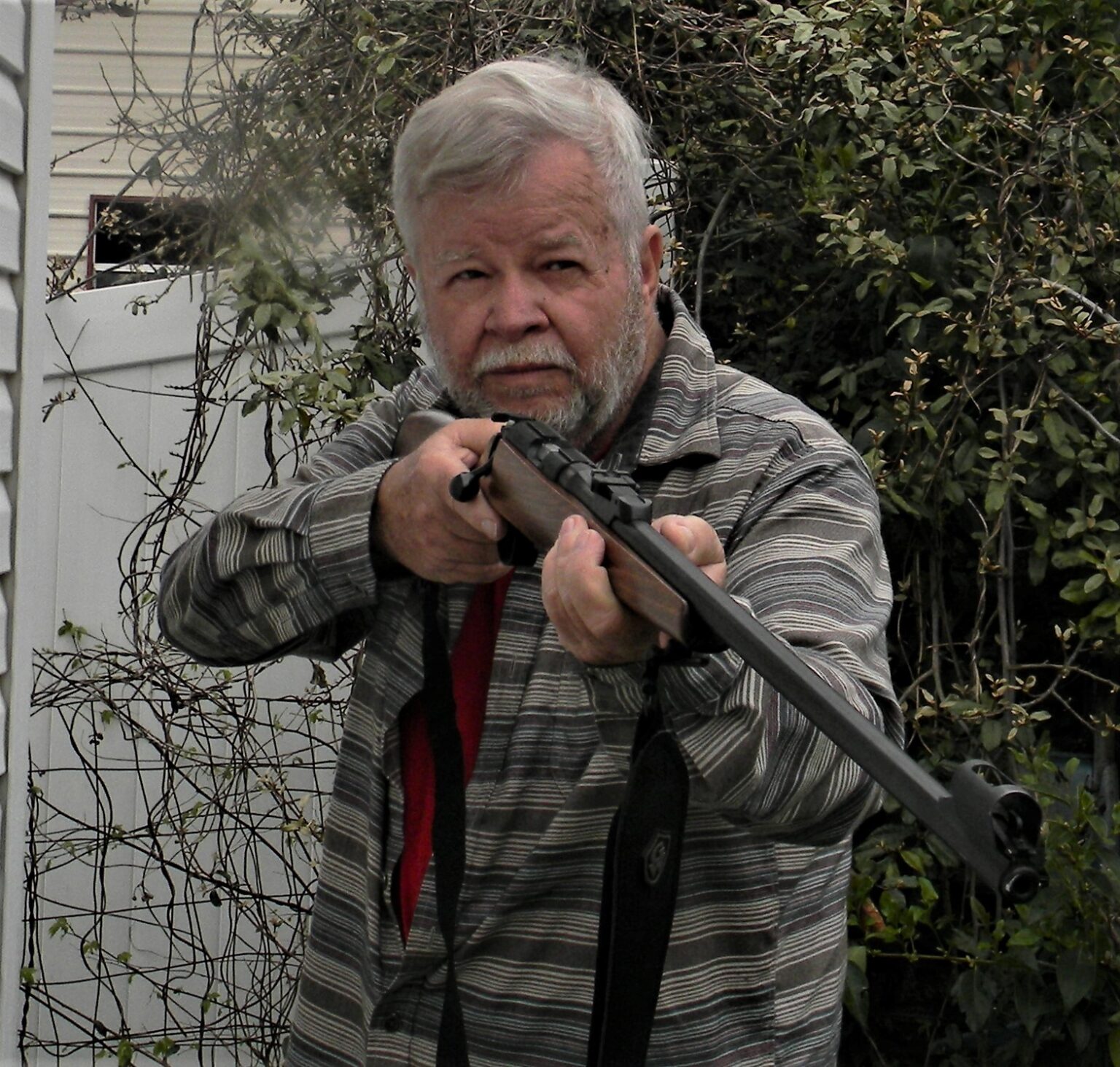 My Adventures with .22 Rimfire Sporter Rifles TheGunMag The