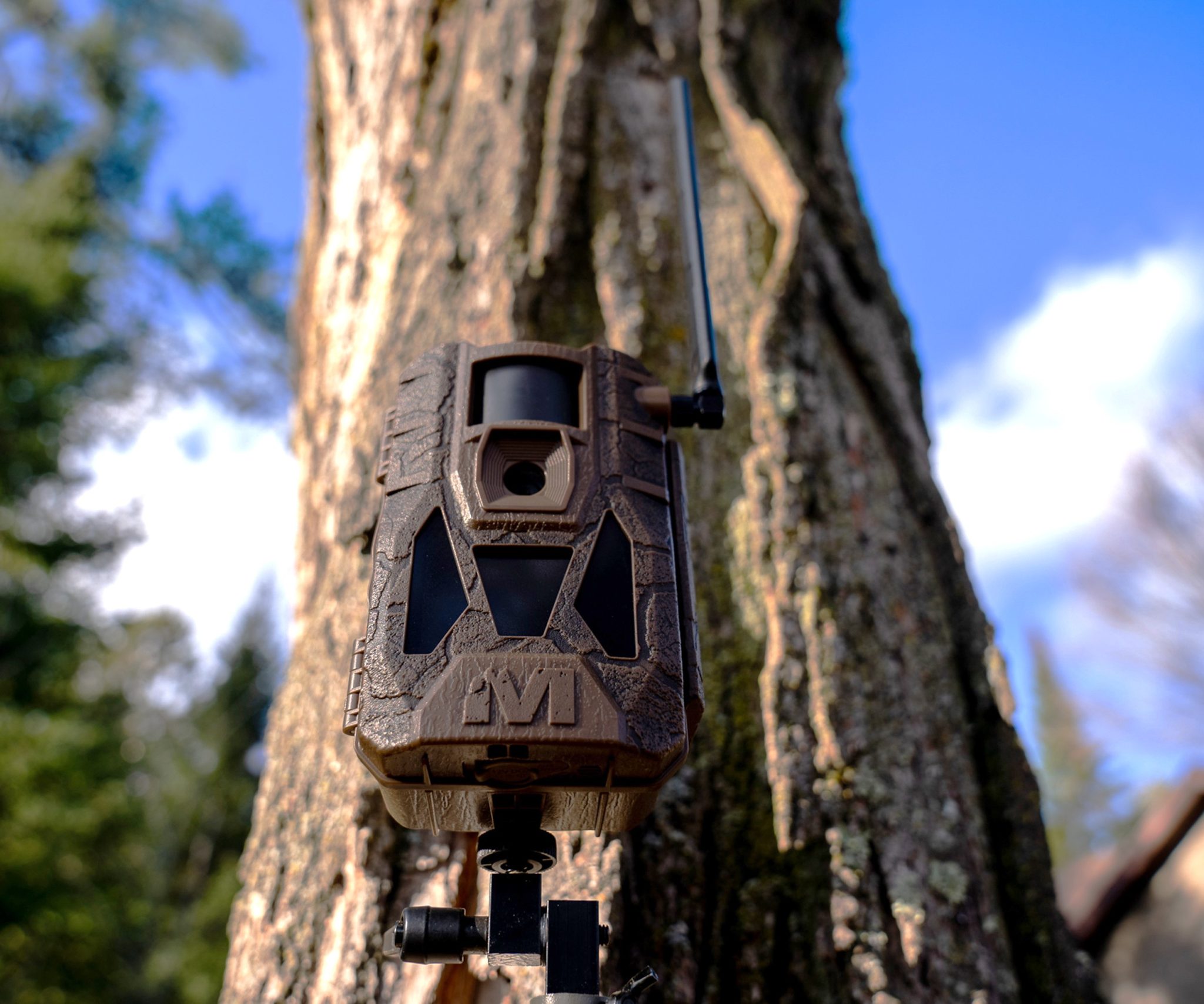 Muddy Introduces The MATRIX 2.0 Cellular Trail Camera, Now Available ...